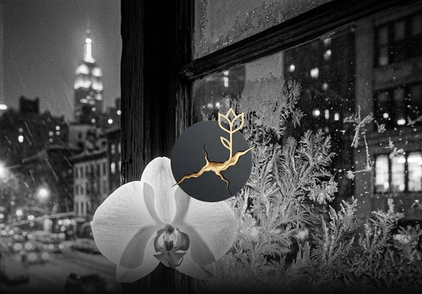 The Complete Luxury Home Fragrance Guide for Manhattan Apartments