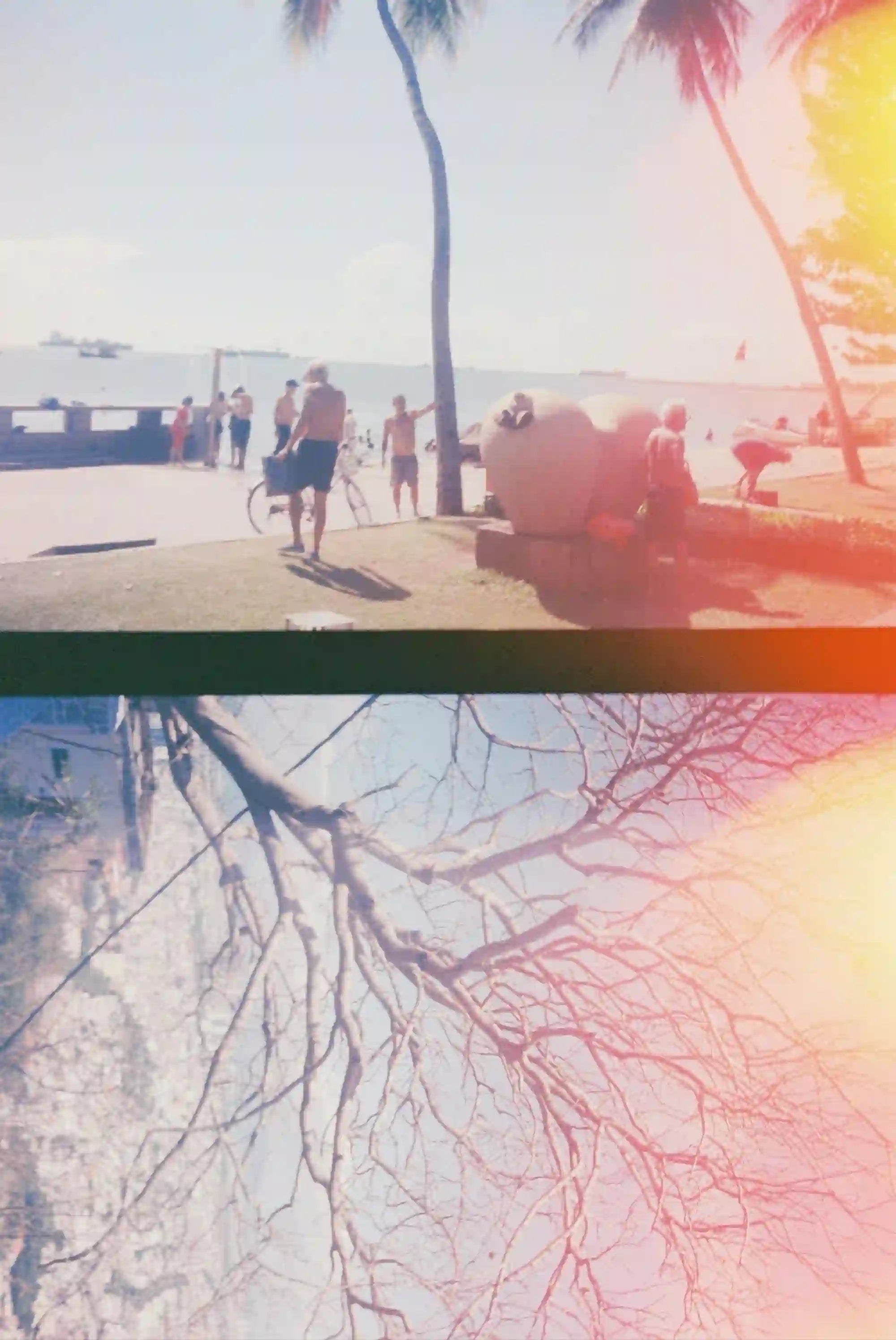 Analogue double-frame film photograph: a bright summer seaside scene above bare winter branches, with an orange light leak.
